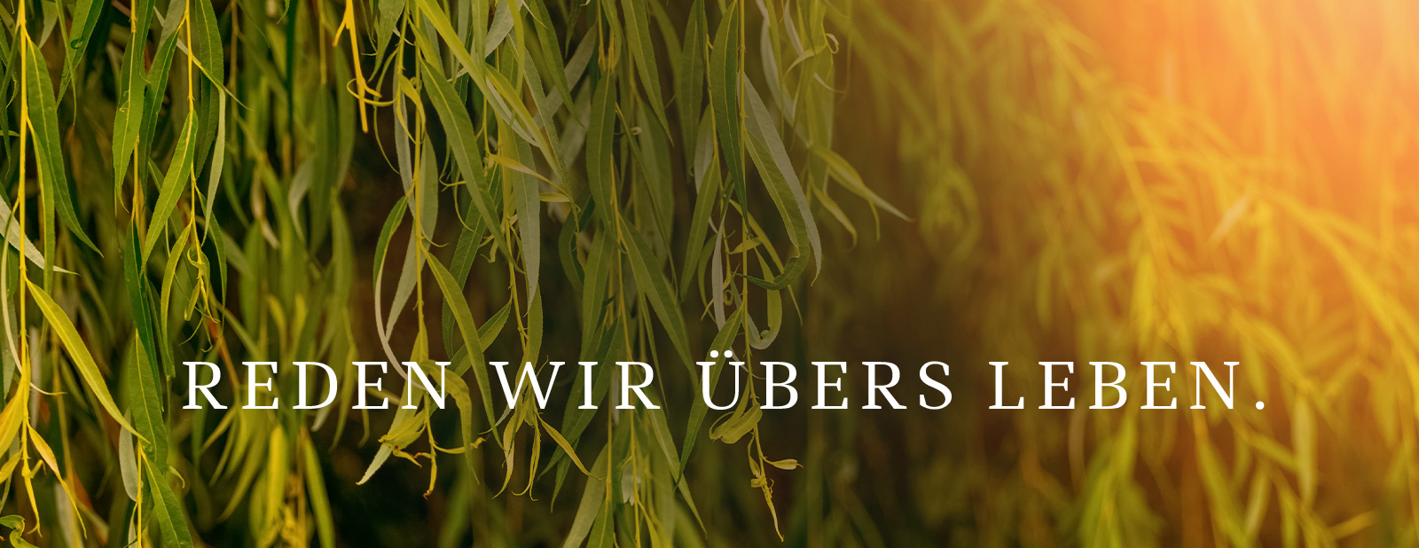 © Volodymyr – stock.adobe.com