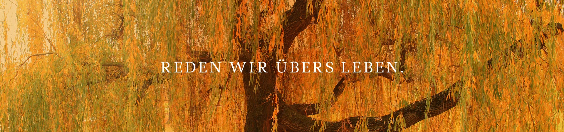 © Gerisch – stock.adobe.com