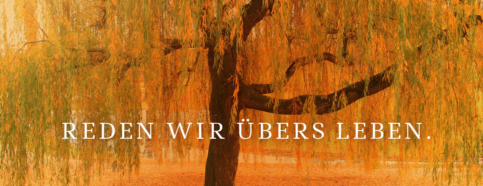 © Gerisch – stock.adobe.com